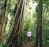 Wet Tropics