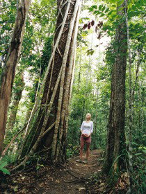 Wet Tropics - Sunshine Coast Tourism 0
