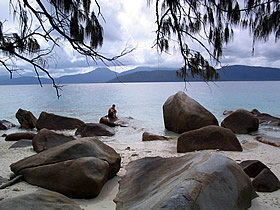 Summit Track, Fitzroy Island National Park - Sunshine Coast Tourism 0