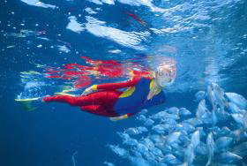 Pixie Pinnacle Dive Site - Sunshine Coast Tourism 0