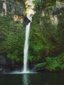 Nandroya Falls Circuit Track, Wooroonooran National Park - Holiday Sunshine Coast 0