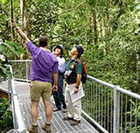 Daintree Discovery Centre - Sunshine Coast Tourism