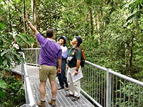 Daintree Discovery Centre - Holiday Sunshine Coast 0