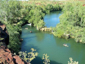 Wild Dog Dreaming, Boodjamulla (Lawn Hill) National Park - Sunshine Coast Tourism 0