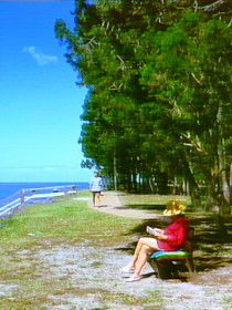 Woodgate QLD Holiday Sunshine Coast