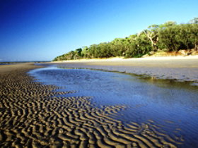 Burrum Coast National Park - Holiday Sunshine Coast 0