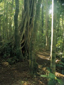  Sunshine Coast Tourism