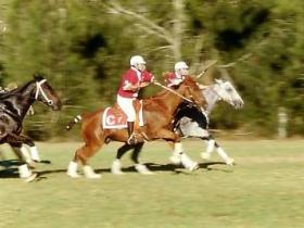 Morgan Park - Holiday Sunshine Coast 0