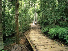 North Johnstone QLD Holiday Sunshine Coast