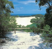 Lake Wabby Track - Sunshine Coast Tourism