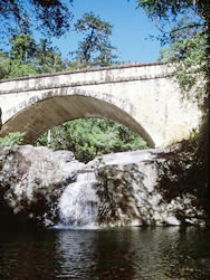 Alligator Creek ACT Sunshine Coast Tourism