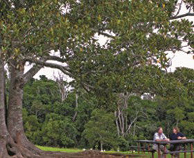 Narko QLD Holiday Sunshine Coast