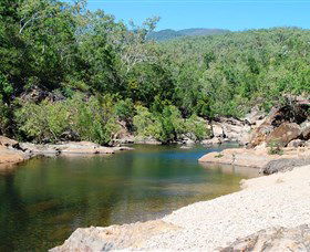 Alligator Creek QLD Sunshine Coast Tourism