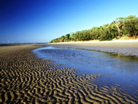 Kinkuna Section - Holiday Sunshine Coast 0