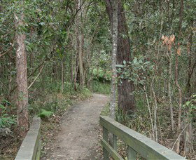 Springwood Conservation Park - Holiday Sunshine Coast 0