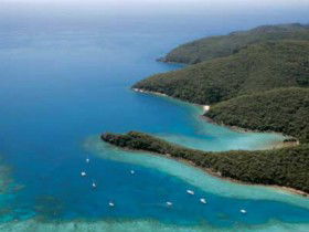 Butterfly Bay - Hook Island - Holiday Sunshine Coast 0