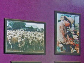 Charleville Photographic Display - Sunshine Coast Tourism 0