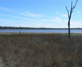 Lake Murphy Conservation Park - Holiday Sunshine Coast 0