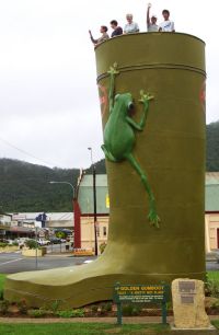 Golden Gumboot - Holiday Sunshine Coast 0