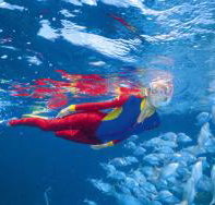 Outer Rocks Dive Site