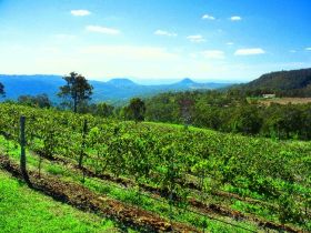 Preston QLD Holiday Sunshine Coast