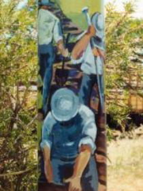 Crinum QLD Sunshine Coast Tourism