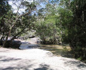 Davies Creek National Park And Dinden National Park - Holiday Sunshine Coast 0