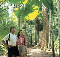 Licuala State Forest