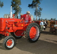 Pioneer Park Museum - Dalby - Sunshine Coast Tourism