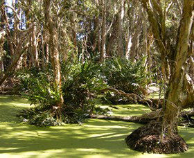 Arkarra Lagoons And Tea Gardens - Sunshine Coast Tourism 0