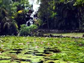 Queens Park Waterfall - Holiday Sunshine Coast 0