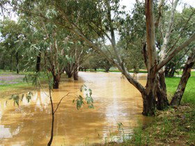 Saddliers Waterhole And Hamburg Creek - Holiday Sunshine Coast 0