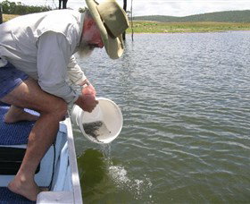 Eungella Dam - Holiday Sunshine Coast 0