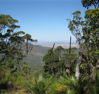 Zamia Walk