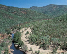 Sundown National Park - Sunshine Coast Tourism 0