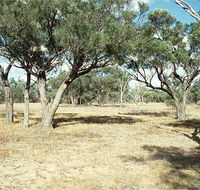 Forest Den National Park