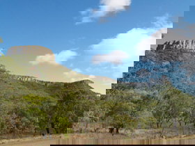  Sunshine Coast Tourism