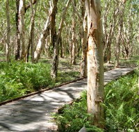 The Kommo Toera Trail - Sunshine Coast Tourism