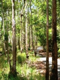 Hallorans Hill - Holiday Sunshine Coast 0