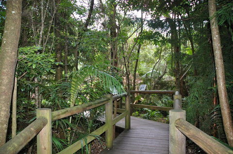Cedar Creek Estate - Sunshine Coast Tourism 1