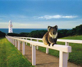 Cape Otway Lightstation - Holiday Sunshine Coast 0