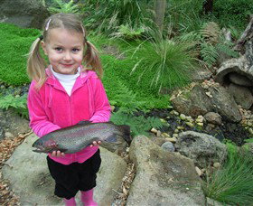 Wild Food Farm & Cafe - Holiday Sunshine Coast 0