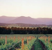 Domaine Chandon - Holiday Sunshine Coast