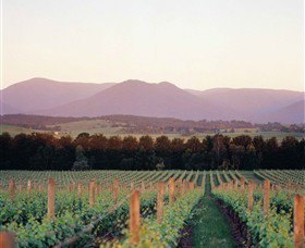 Domaine Chandon - Holiday Sunshine Coast 0