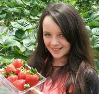 Yarra Valley Gateway Estate - Holiday Sunshine Coast