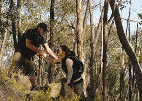 Greater Bendigo National Park - Sunshine Coast Tourism 0
