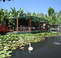 Blue Lotus Water Garden - Holiday Sunshine Coast