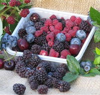 Bright Berry Farms - Sunshine Coast Tourism