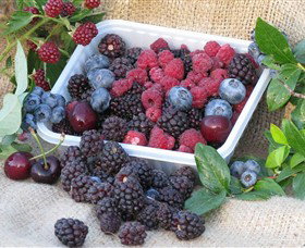 Bright Berry Farms - Holiday Sunshine Coast 0