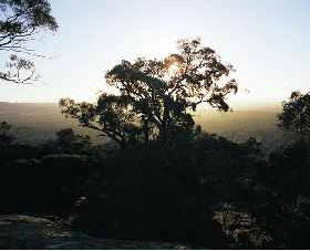 Yarra Flats - Sunshine Coast Tourism 0